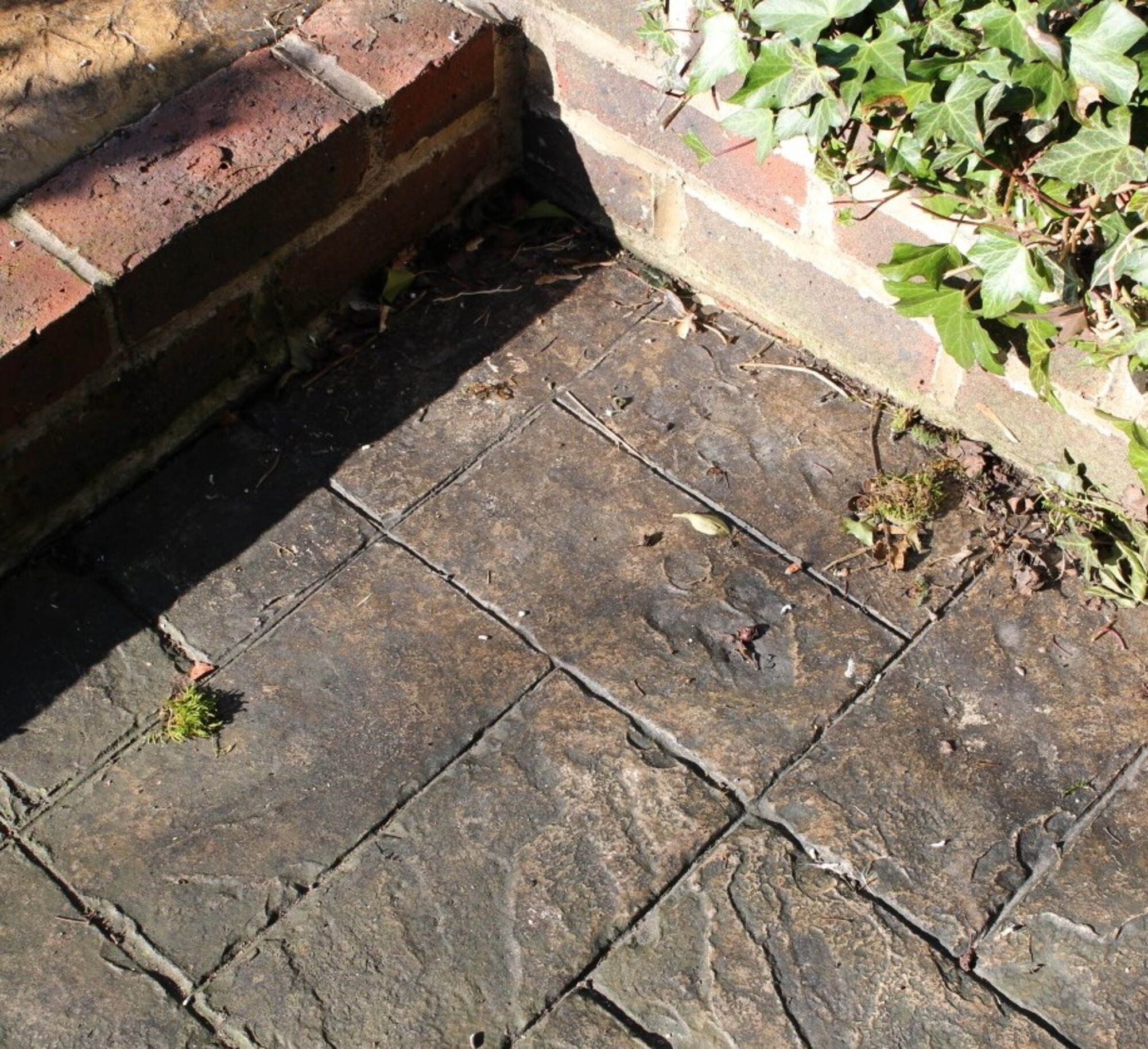 Patio Clean Xtreme (5L & 25L) Smartseal