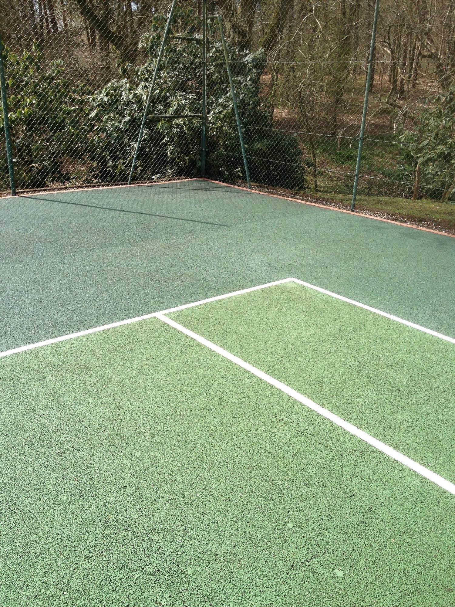 Moss Killer, Moss Remover Tarmac, Algae Remover, Moss Killer Tarmac