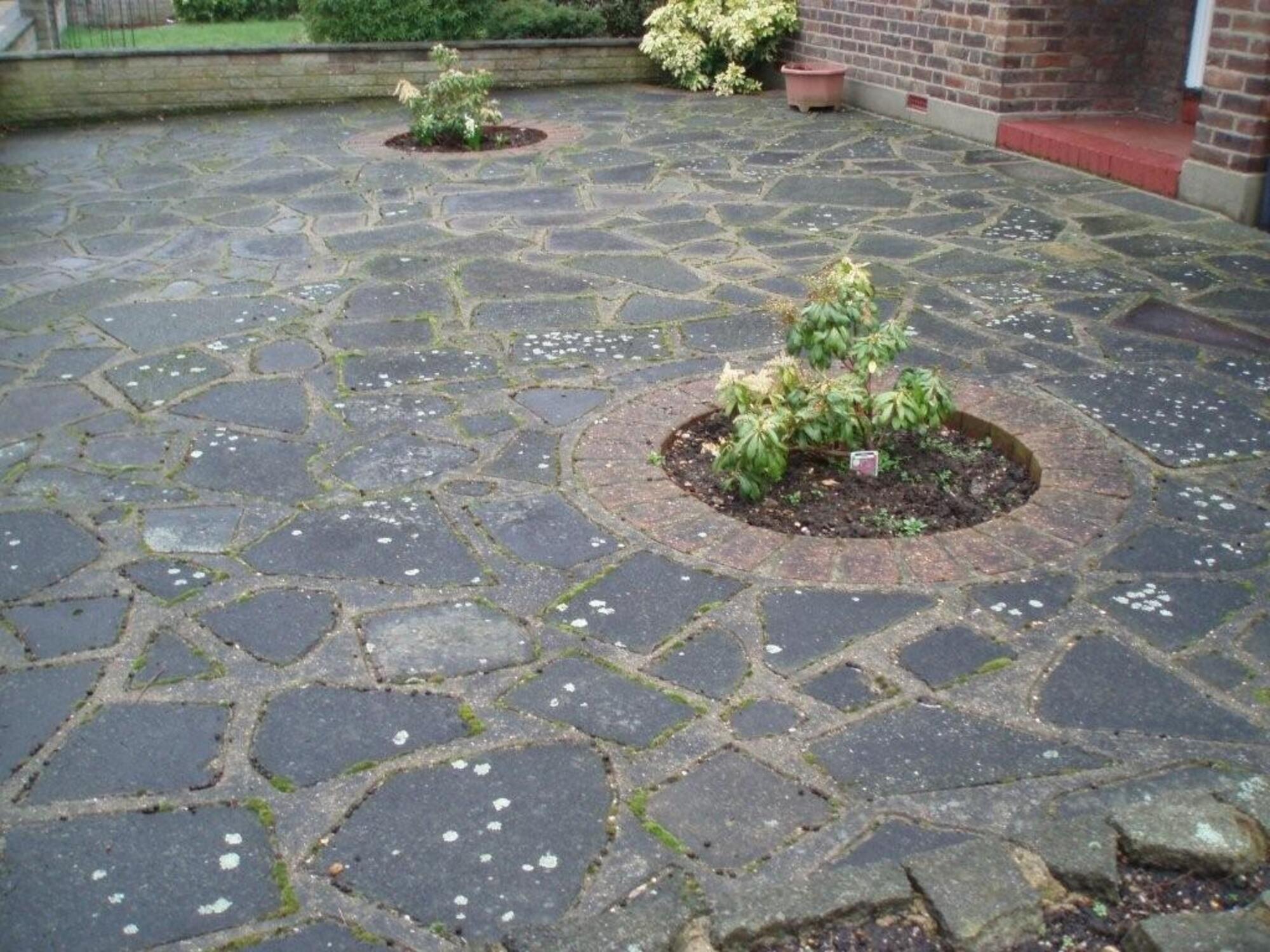 Patio Black Spot Remover Best Patio Cleaner Patio Black Spot