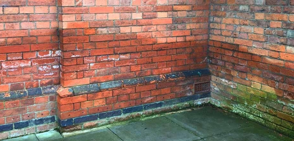 Damp Proofing 