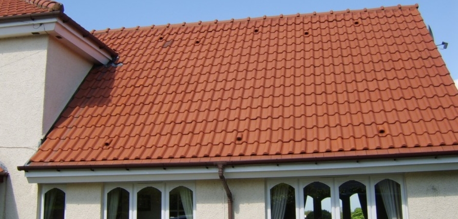 Roof Sealer