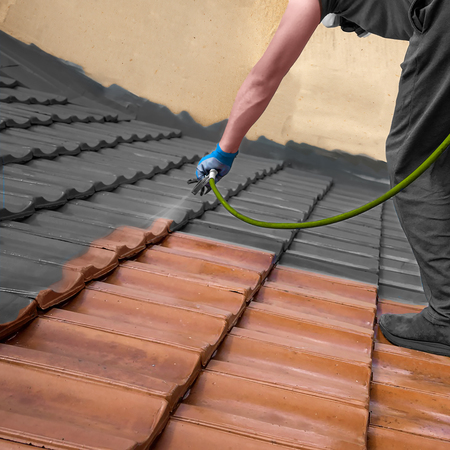 Roof Cleaning Training