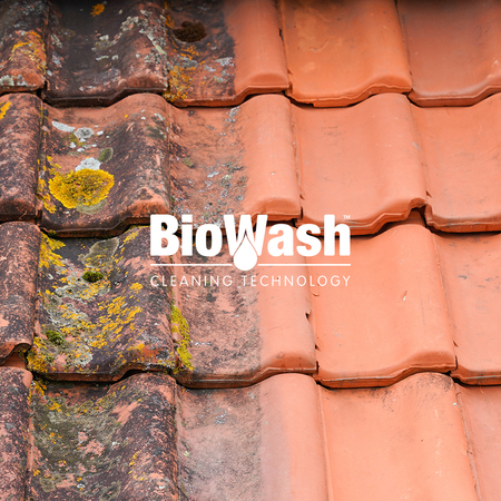 BioWash Roof Cleaning