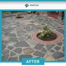 Patio Cleaner XTREME Powerful Cleaner for Black Spot, Algae & Lichen