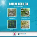 Patio Cleaner XTREME Powerful Cleaner for Black Spot, Algae & Lichen