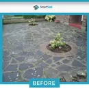 Patio Cleaner XTREME Powerful Cleaner for Black Spot, Algae & Lichen