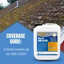 Roof Revive (5L)