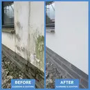 Wall Coating Textured - A Superior Matt Fnish, Textured Masonry Paint Suitable for External or Internal