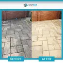 Patio Cleaner XTREME Powerful Cleaner for Black Spot, Algae & Lichen