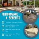 Patio Cleaner XTREME Powerful Cleaner for Black Spot, Algae & Lichen
