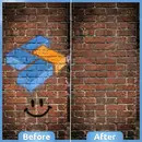 Premium Graffiti Remover