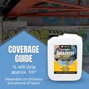 Premium Graffiti Remover