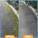 GREEN CLEAR Concentrate Treats 30m2 (1L)