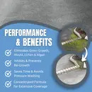 GREEN CLEAR Concentrate Treats 30m2 (1L)