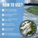 GREEN CLEAR Concentrate Treats 30m2 (1L)