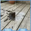 Premium Oil & Grease Stain Remover
