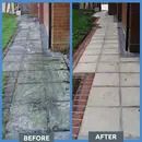 Patio Cleaner XTREME Powerful Cleaner for Black Spot, Algae & Lichen