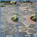 Patio Cleaner XTREME Powerful Cleaner for Black Spot, Algae & Lichen