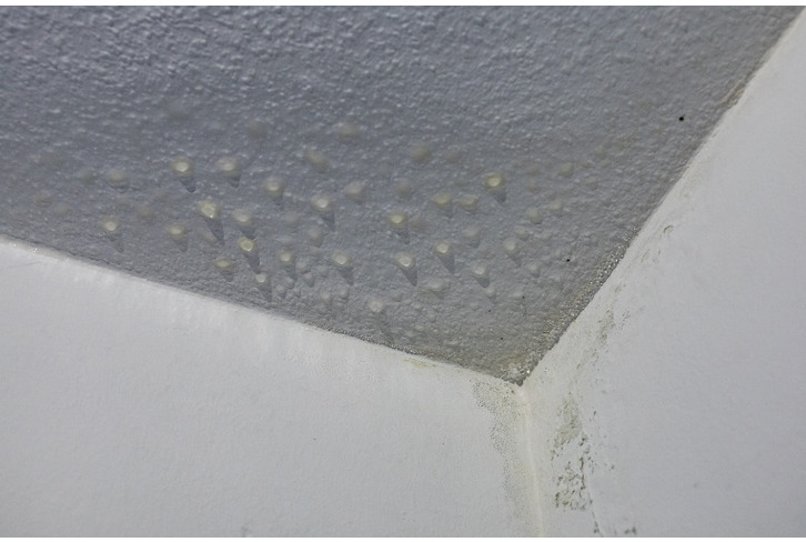 Anti-Condensation Paint | Bedroom Condensation - Smartseal