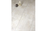 Porcelain Sealer - One-coat, easy application, stain & scratch resistant, 100% breathable (1 & 5 Litre + sample available) 