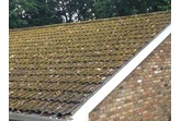 ROOF MOSS Remover (5 Litre) -  Biodegradable Roof Moss & Algae Killer for all Slate, Clay & Concrete Tiles