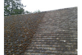 ROOF MOSS Remover (5 Litre) -  Biodegradable Roof Moss & Algae Killer for all Slate, Clay & Concrete Tiles